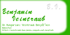benjamin veintraub business card